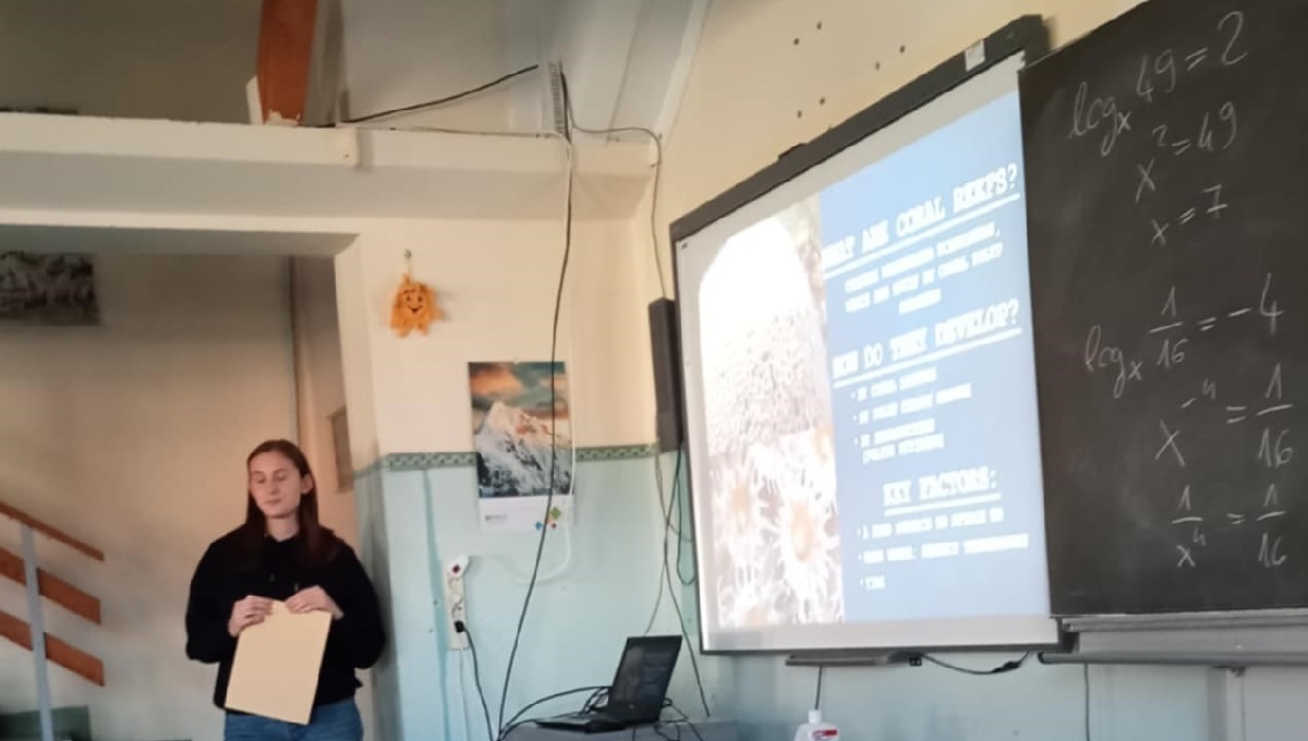 Csillag Regina 11.A Csillag Regina 11.A