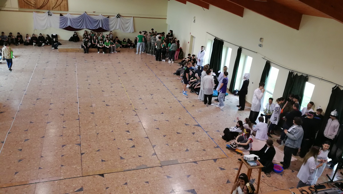 20260401-Borshowzas-02